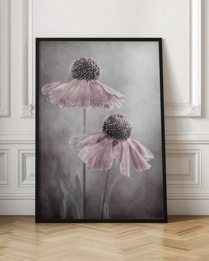 Duet Wall Artwork In Black Floating Frame