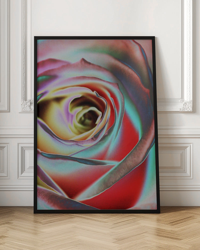 Wall art Rose