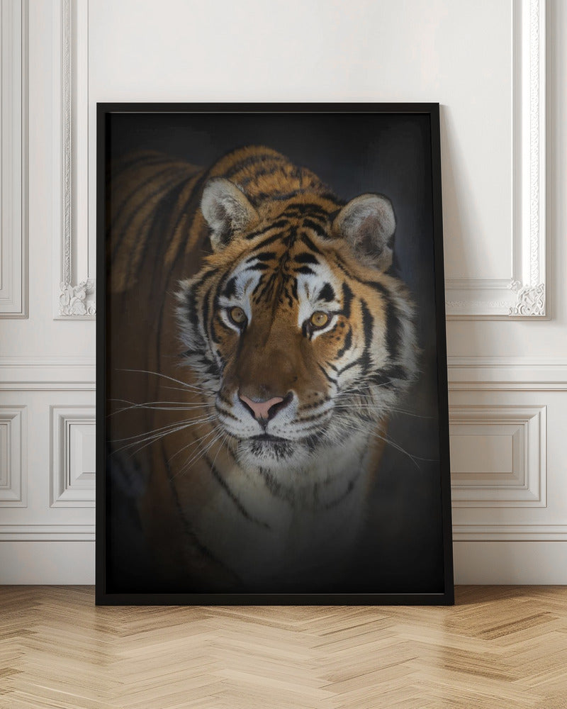 Wall art Portrait of a Siberian Tiger