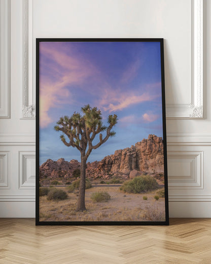 Wall art Joshua Tree Evening Atmosphere