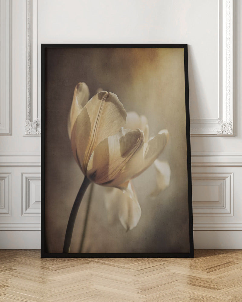 Wall art Pastel Tulip