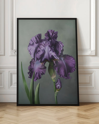 Wall art Iris Fl 18