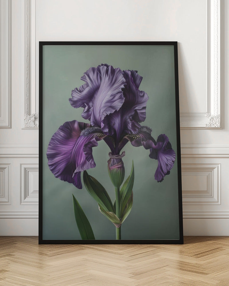 Wall art Iris Fl 10