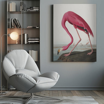  Pink Flamingo Ii From Birds of America (1827) Wall Artwork 0