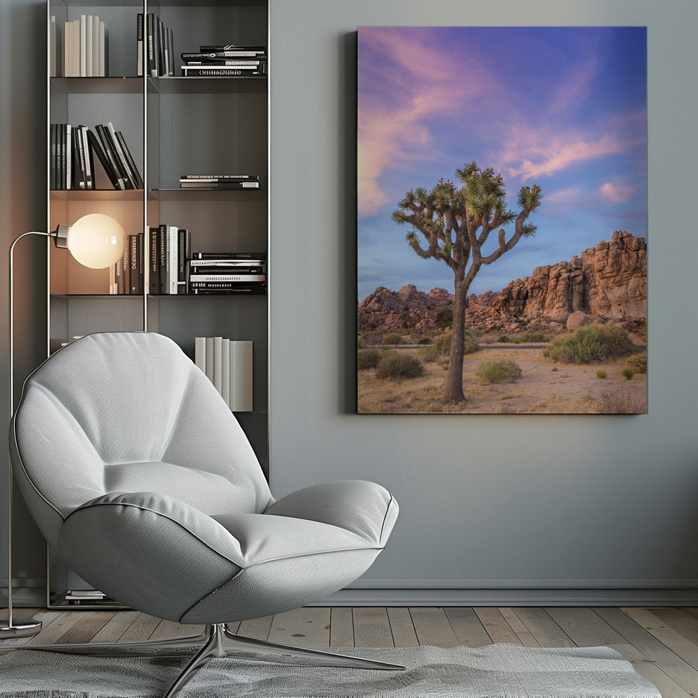 Wall art Joshua Tree Evening Atmosphere