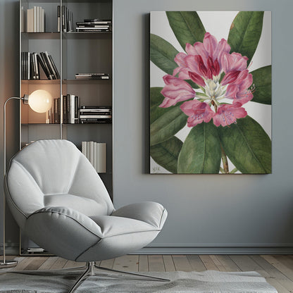  Mountain Rose Bay (1932) Wall Artwork 0