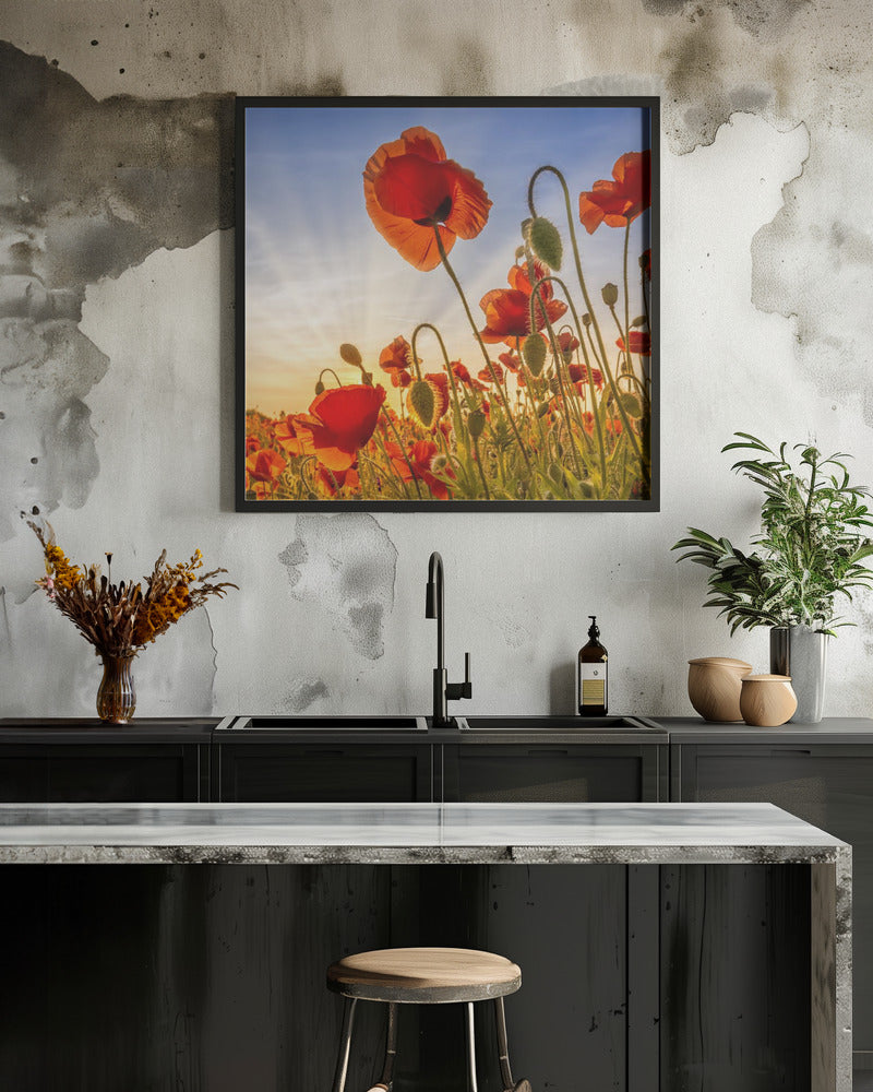 Wall art Fascinating poppies