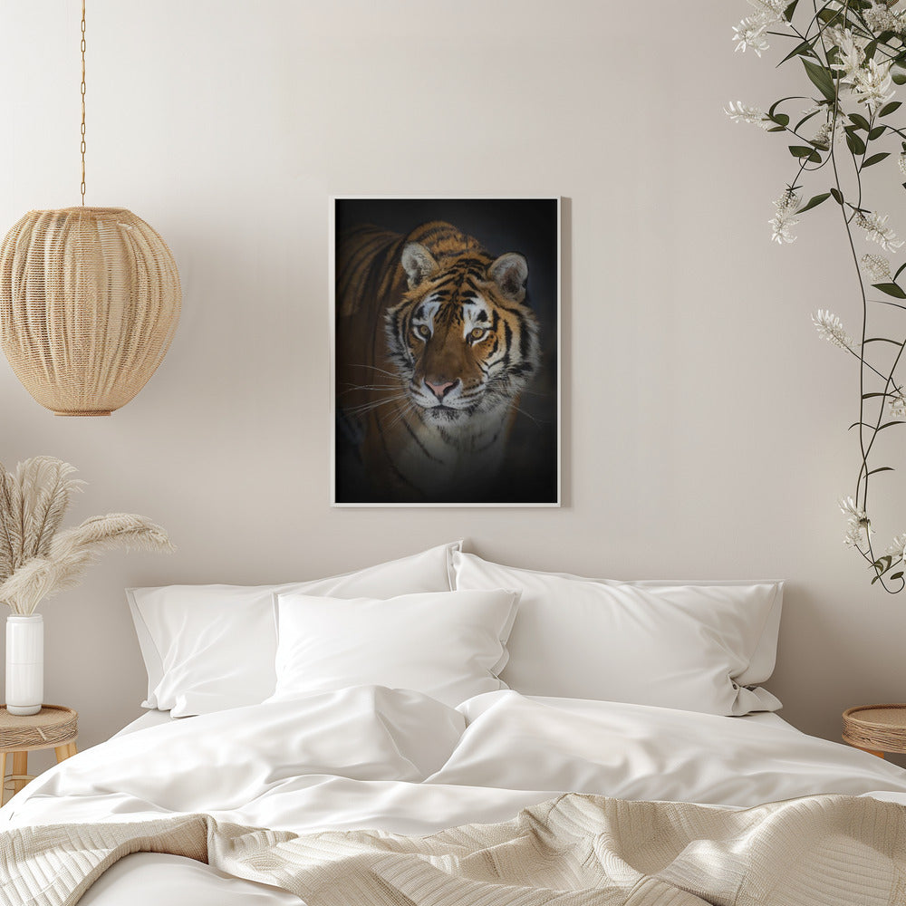 Wall art Portrait of a Siberian Tiger