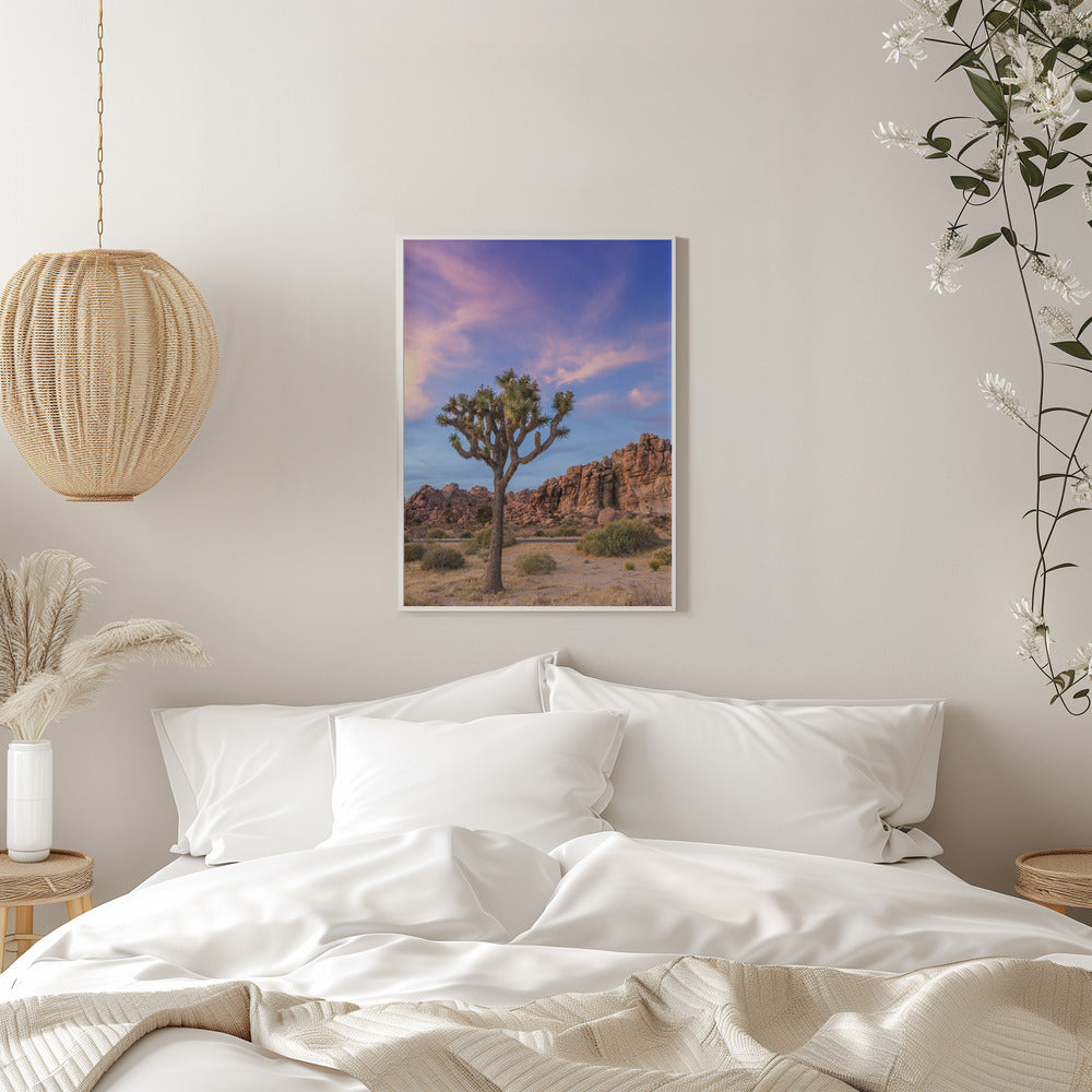 Wall art Joshua Tree Evening Atmosphere