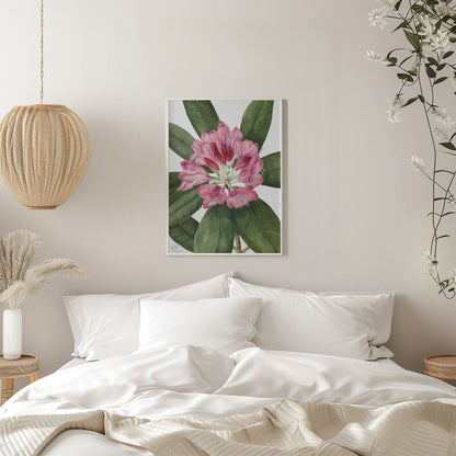  Mountain Rose Bay (1932) Wall Artwork 0