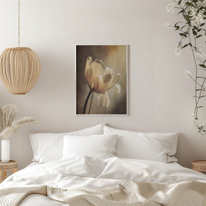 Wall art Pastel Tulip