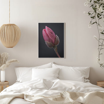 Wall art Pink Tulip 1