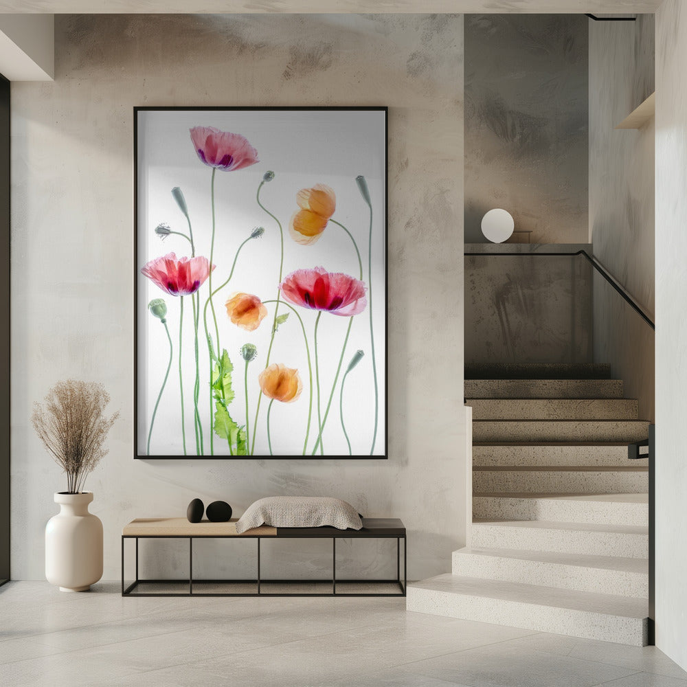  Poppies Wall Artwork 0