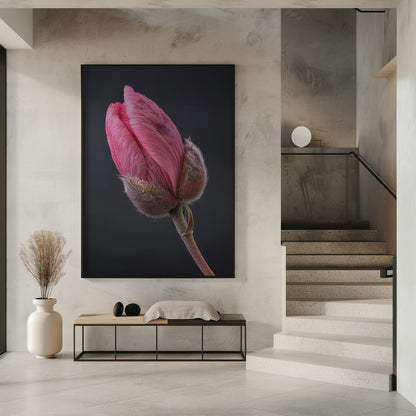 Wall art Pink Tulip 1