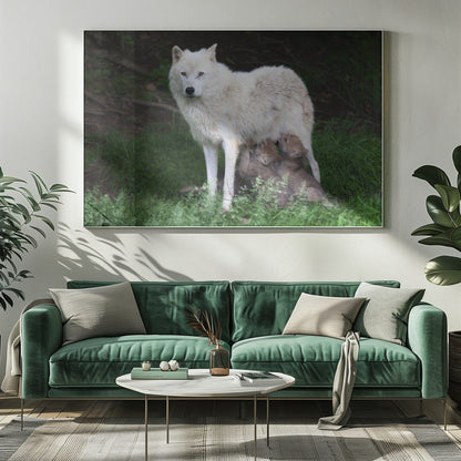 Wall art Arctic Wolves - Remus and Romulus-20X16inches-Gallery Wrapped (Ready to Hang)