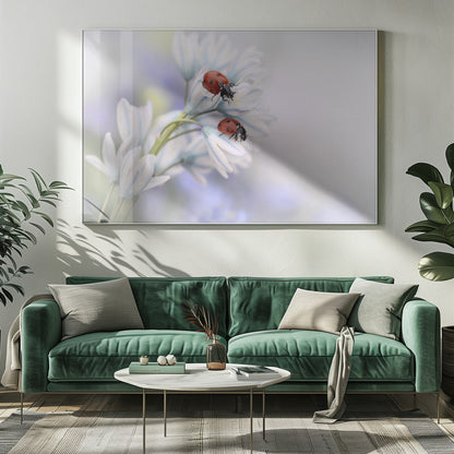 Artwork Ladybirds20X16inches- Unframed