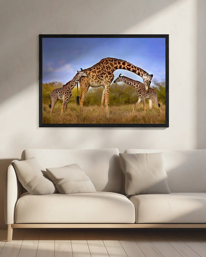 Artwork Giraffe with cubs20X16inches- Black Frame