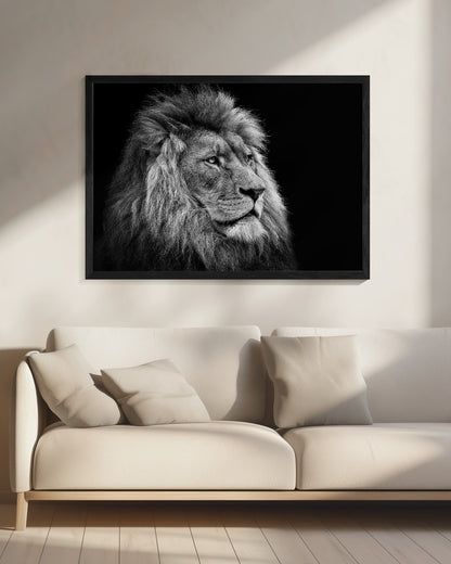 Wall art Lion