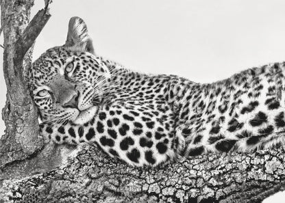 Wall art Time to rest Leopard