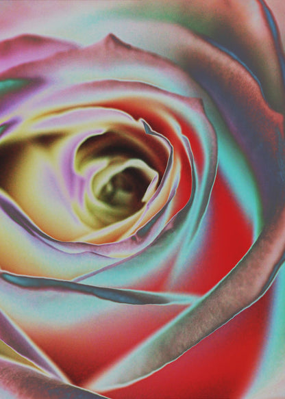 Wall art Rose