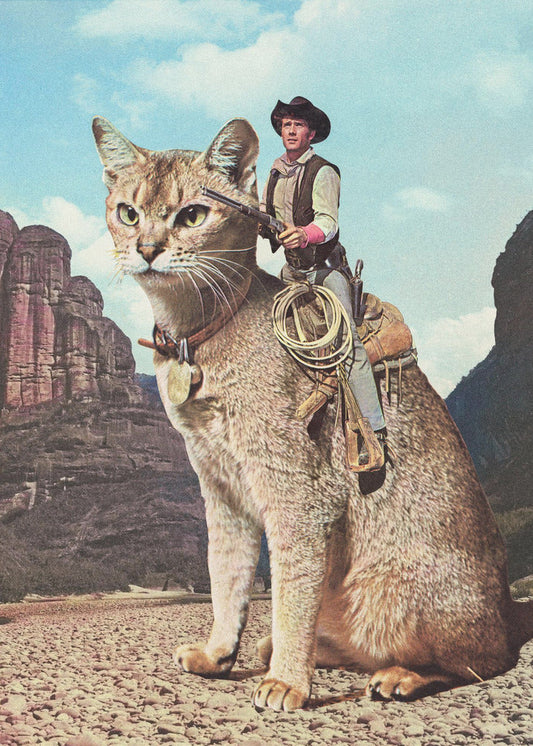  Cat Lone Ranger Wall Artwork Gallery Wrapped (Ready to Hang)