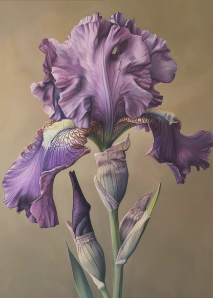 Wall art Iris Fl 101