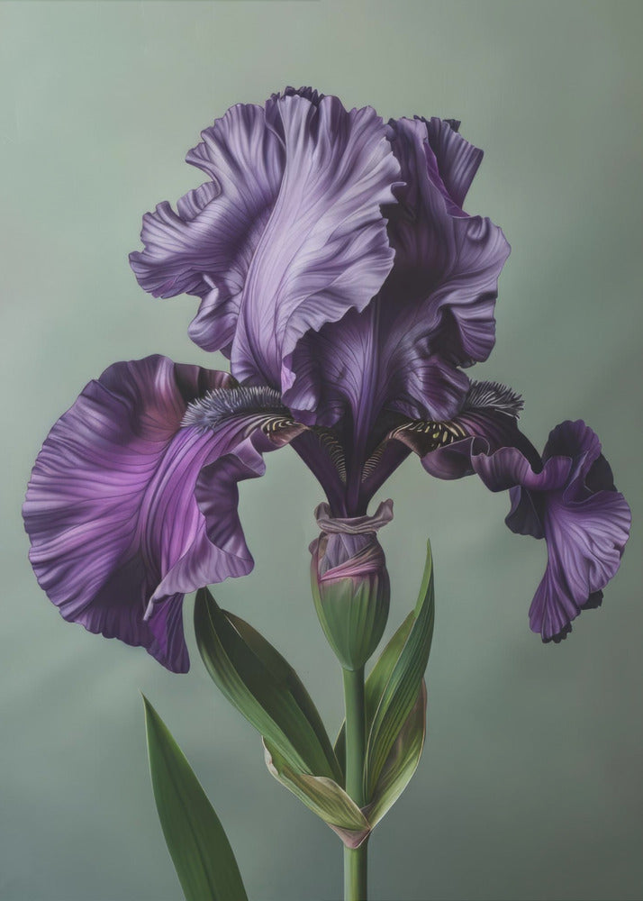 Wall art Iris Fl 10