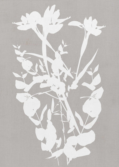 Artwork- Botanical Illustration 2-16X20inches-In Black Floating Frame