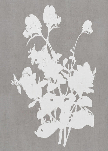 Artwork- Botanical Illustration 4-16X20inches-In Black Floating Frame