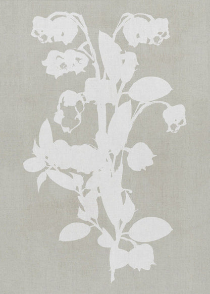 Artwork- Botanical Illustration 5-16X20inches-In Black Floating Frame