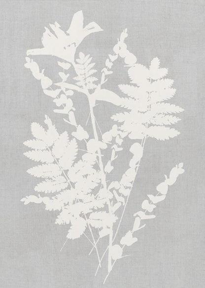 Artwork- Botanical Illustration 6-16X20inches-In Black Floating Frame