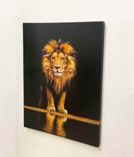 " Leo" - Wildlife Canvas Art - Shimmering Gold Varnished Top Coat. Ready to hang