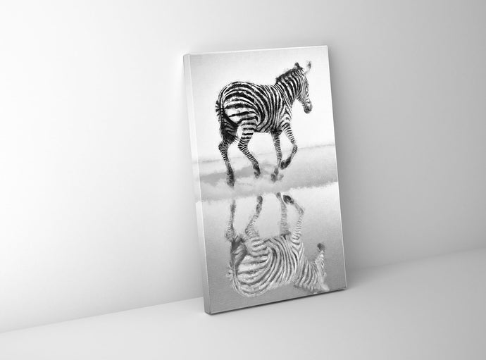 Zebra Canvas 36