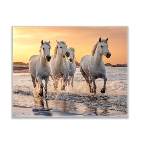 Beautiful Galloping Horses Print- Animal Print Canvas-Fine Art Canvas- Hand applied gold varnish# 4836-021