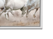 Wildlife Canvas-Arabian Horses White Sky-Wall Art