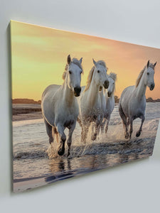 Beautiful Galloping Horses Print- Animal Print Canvas-Fine Art Canvas- Gold varnish