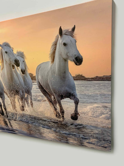 Beautiful Galloping Horses Print- Animal Print Canvas-Fine Art Canvas- Gold varnish