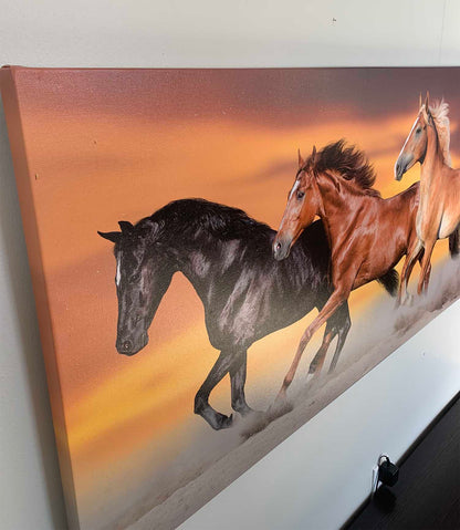 Team of Five Horses- Wildlife Canvas Art - Gold varnish