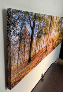Canvas Print-Autumn Trees-Wall art