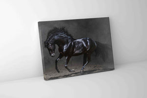 Black Majestic Horse - Wildlife Canvas Art - Diamond varnish