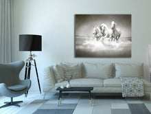 Black and White Stallions - Animal Print Canvas-Fine Art - Dimond Varnish